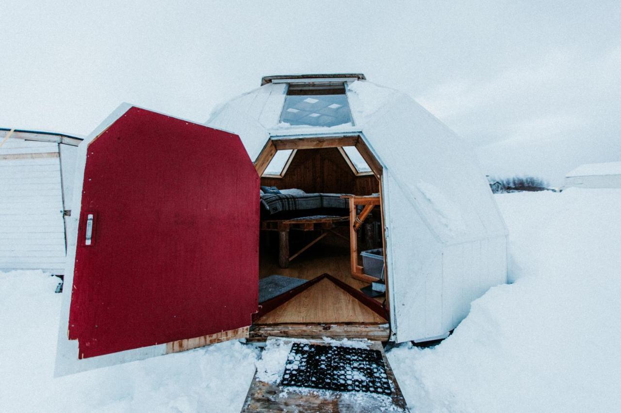 Luxury tent Sky Sighting Igluhus - Stay'in Arbakki