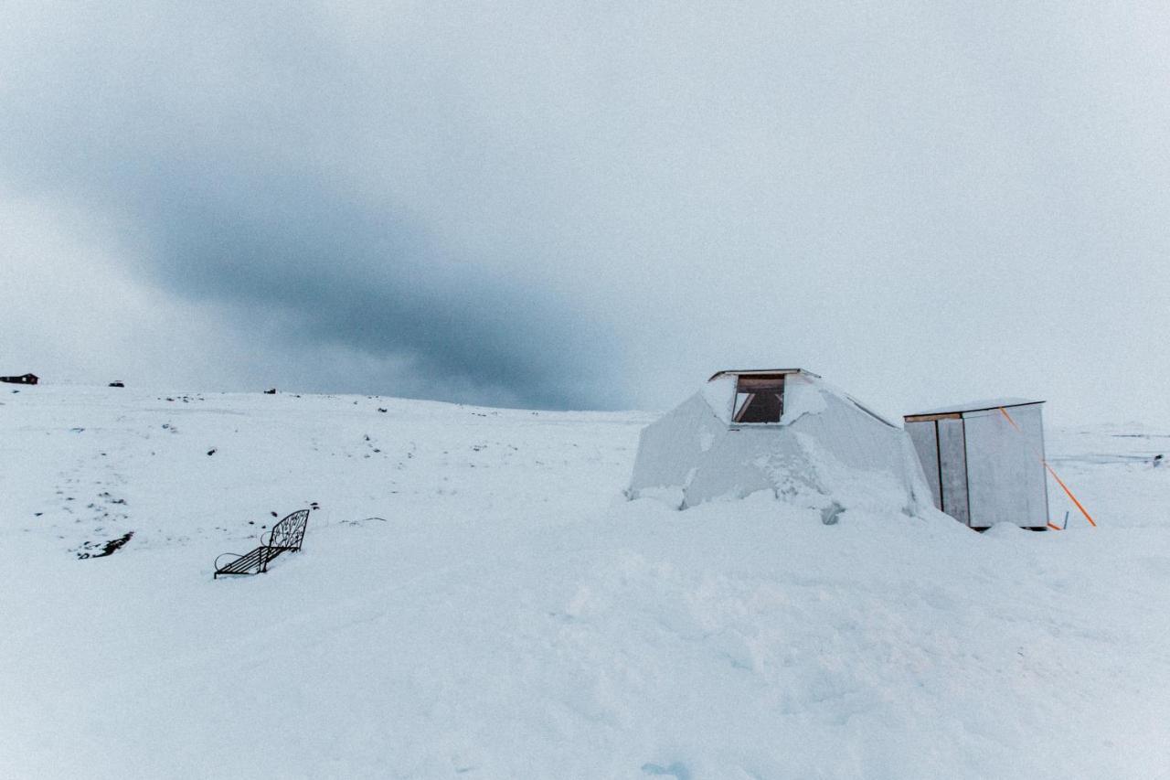 Sky Sighting Igluhus - Stay'in Arbakki Luxury tent